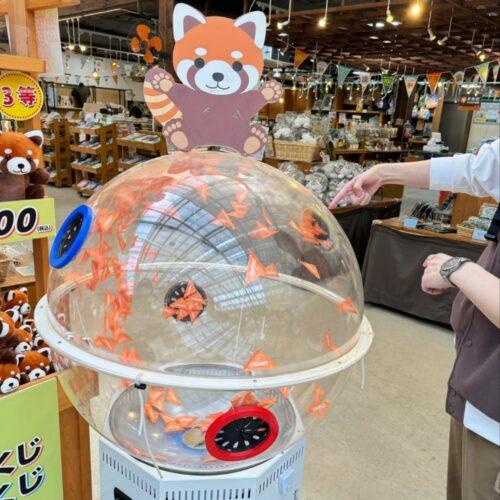 Лотерейный Автомат для розыгрыша призов